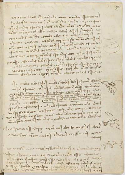 Código sobre el vuelo de los pájaros, c. 1505-06, manuscrito en papel, cc. 18, hoja 12 recto de Leonardo da Vinci